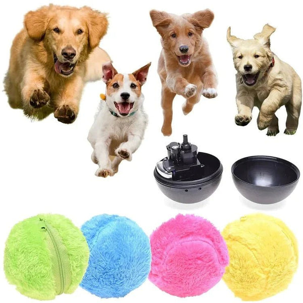 Active Rolling Ball For Pets - Shop Home Essentials