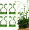 Wall Plants Climber Vine Sticky Wall Clips - Home Essentials Store Retail