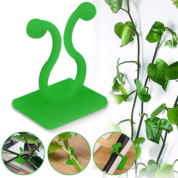 Wall Plants Climber Vine Sticky Wall Clips - Home Essentials Store Retail